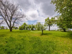 Prodej pozemku pro bydlení, Slavkov, 962 m2