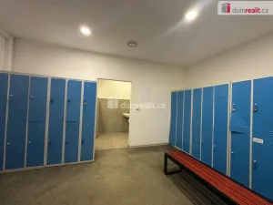 Pronájem skladu, Břeclav, Na Hrůdách, 3000 m2