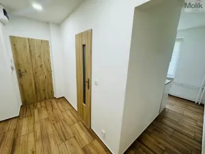 Pronájem bytu 2+1, Most, Maxe Švabinského, 53 m2