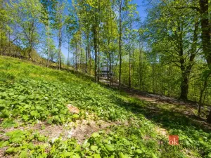 Prodej pozemku pro bydlení, Dolní Morava - Horní Morava, 1045 m2