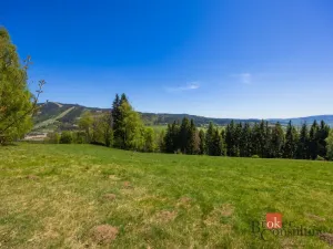 Prodej pozemku pro bydlení, Dolní Morava - Horní Morava, 1045 m2