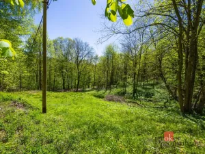 Prodej pozemku pro bydlení, Dolní Morava - Horní Morava, 1045 m2