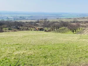 Prodej zahrady, Mikulov, Nová, 1043 m2