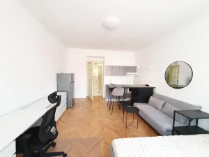 Pronájem bytu 1+kk, Praha - Vinohrady, Mikovcova, 29 m2