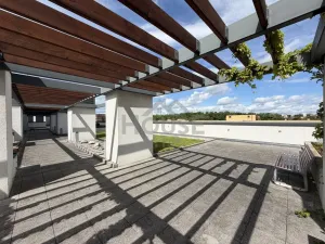 Pronájem bytu 1+kk, Praha - Žižkov, Olšanská, 36 m2
