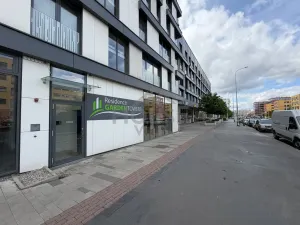 Pronájem bytu 1+kk, Praha - Žižkov, Olšanská, 36 m2
