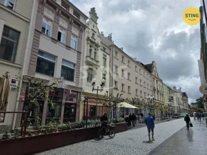Prodej bytu 2+1, Opava, Ostrožná, 47 m2