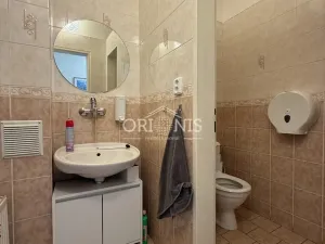 Pronájem obchodního prostoru, Chomutov, Raisova, 189 m2