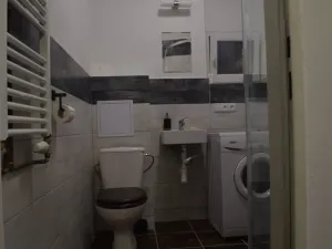 Pronájem bytu 1+1, Ostrava - Zábřeh, Březinova, 45 m2