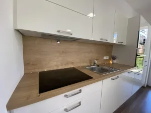 Pronájem bytu 2+kk, Brno - Královo Pole, Kollárova, 85 m2
