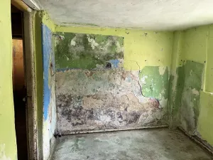 Prodej rodinného domu, Stará Paka - Ústí, 92 m2