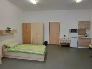 Pronájem bytu 1+kk, Hranice - Hranice I-Město, Potštátská, 30 m2