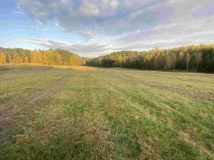 Prodej pole, Cvikov - Trávník, 7516 m2