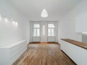 Pronájem bytu 1+1, Praha - Žižkov, Řehořova, 36 m2