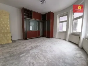 Pronájem bytu 3+1, Teplice, Jiřího Wolkera, 110 m2