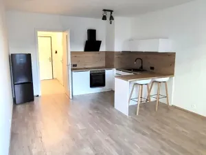 Pronájem bytu 1+kk, Praha - Hlubočepy, Benešova, 38 m2