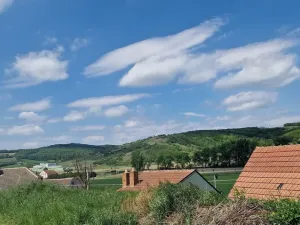 Prodej ostatní, Kobylí