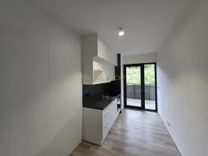 Pronájem bytu 1+1, Brno - Jehnice, Kleštínek, 39 m2