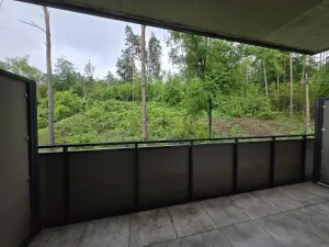 Pronájem bytu 1+1, Brno - Jehnice, Kleštínek, 39 m2