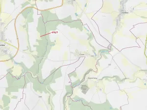 Dražba lesa, Česká Bělá, 90 m2