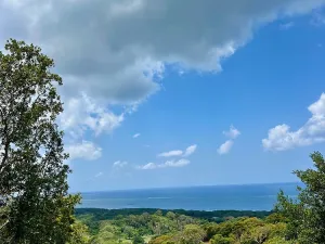 Prodej pozemku, Coxen Hole, Roatán, Honduras, 740 m2