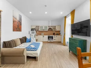 Prodej apartmánu, Desná, Údolní, 37 m2