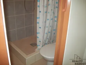 Prodej činžovního domu, Chabařovice, V Aleji, 270 m2