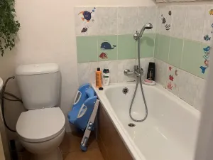 Prodej činžovního domu, Chabařovice, V Aleji, 270 m2