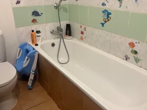 Prodej činžovního domu, Chabařovice, V Aleji, 270 m2