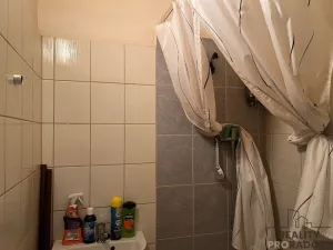 Prodej činžovního domu, Chabařovice, V Aleji, 270 m2