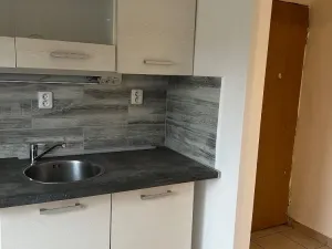 Prodej činžovního domu, Chabařovice, V Aleji, 270 m2