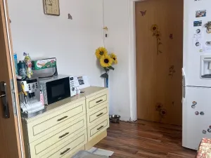 Prodej činžovního domu, Chabařovice, V Aleji, 270 m2