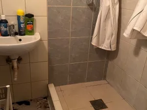 Prodej činžovního domu, Chabařovice, V Aleji, 270 m2