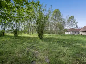 Prodej pozemku pro bydlení, Slepotice, 4338 m2