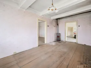 Prodej rodinného domu, Slepotice, 200 m2