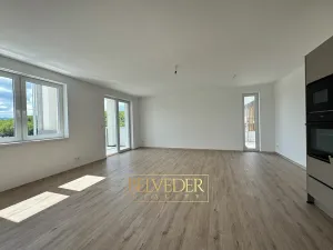 Pronájem bytu 2+kk, Teplice, Albrechtova, 70 m2