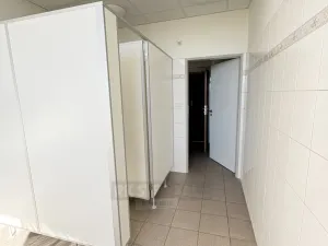 Pronájem kanceláře, České Budějovice - České Budějovice 3, K. Světlé, 71 m2