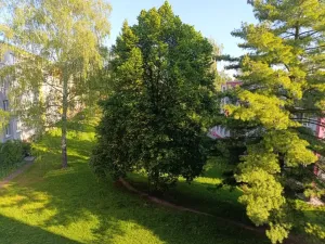 Prodej bytu 2+1, Kopřivnice, Školní, 60 m2