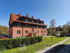 Prodej bytu 1+1, Frymburk, 36 m2