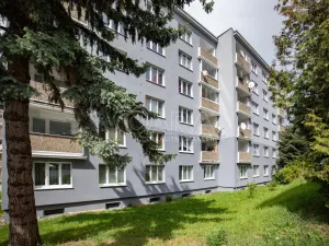 Prodej bytu 1+1, Kladno - Kročehlavy, Arbesova, 36 m2