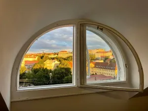 Pronájem bytu 1+1, Prostějov, Rejskova, 31 m2