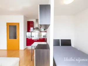 Pronájem bytu 1+kk, Praha - Záběhlice, Ve slatinách, 30 m2