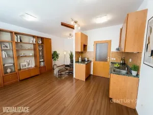 Pronájem bytu 1+kk, Praha - Libeň, Kurta Konráda, 29 m2