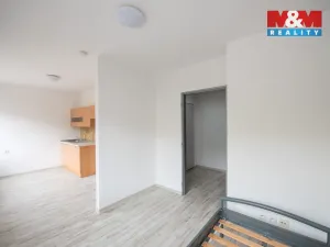 Pronájem bytu 1+kk, Hradec Králové, Sušilova, 32 m2