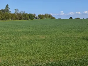 Prodej pozemku pro bydlení, Sibřina - Stupice, 1050 m2