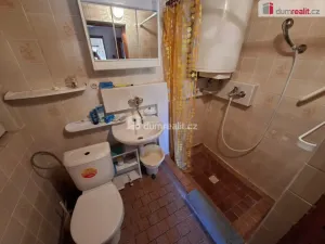 Prodej chaty, Černé Voděrady, Borka, 95 m2
