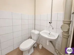 Pronájem skladu, Praha, Přecechtělova, 17 m2