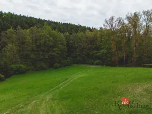 Prodej chaty, Kozojedy - Břízsko, 80 m2