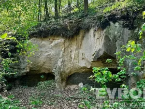 Prodej rodinného domu, Dubá - Nový Berštejn, Malý Mlýnek, 350 m2