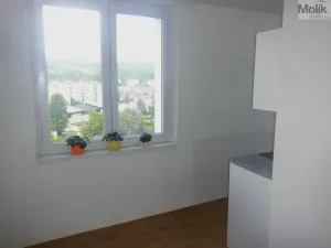 Prodej bytu 2+1, Chomutov, Bezručova, 59 m2